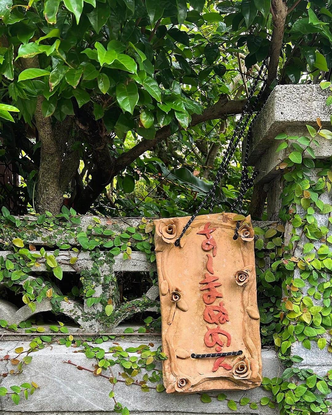 西原有紀さんのインスタグラム写真 - (西原有紀Instagram)「OKINAWA🌺  ✳︎ ✳︎ ✳︎  ひめゆりの塔は修学旅行以来、そして、琉球ガラス村での体験は予約いっぱいで出来なかったけど、今回もホタル石をゲット✨(夜に発光するんです😳)  ✳︎  すーまぬめぇの沖縄そばは、とってもお勧めです✨  ✳︎  そして！そして！ 今回の沖縄の最大の目的は…  ✳︎  つづく….」9月18日 10時13分 - u_ki0211