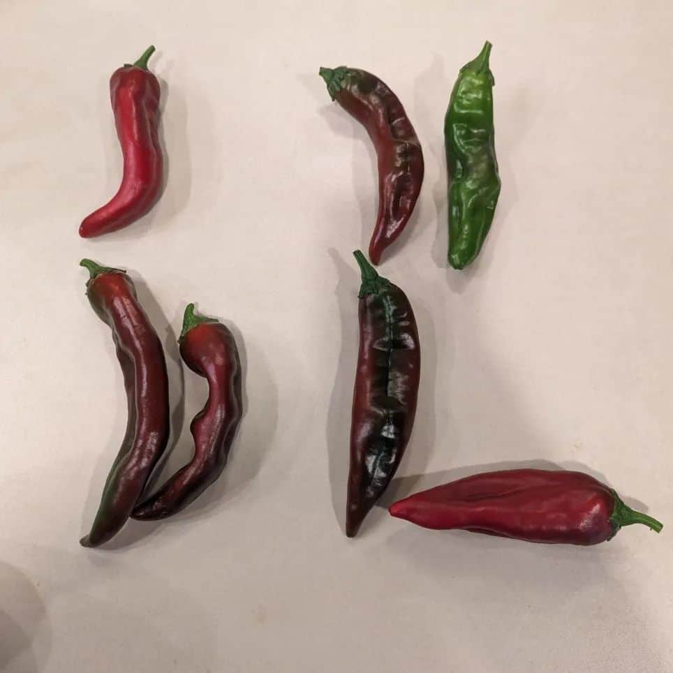 のインスタグラム：「I harvested a rather productive jalapeño plant today.」