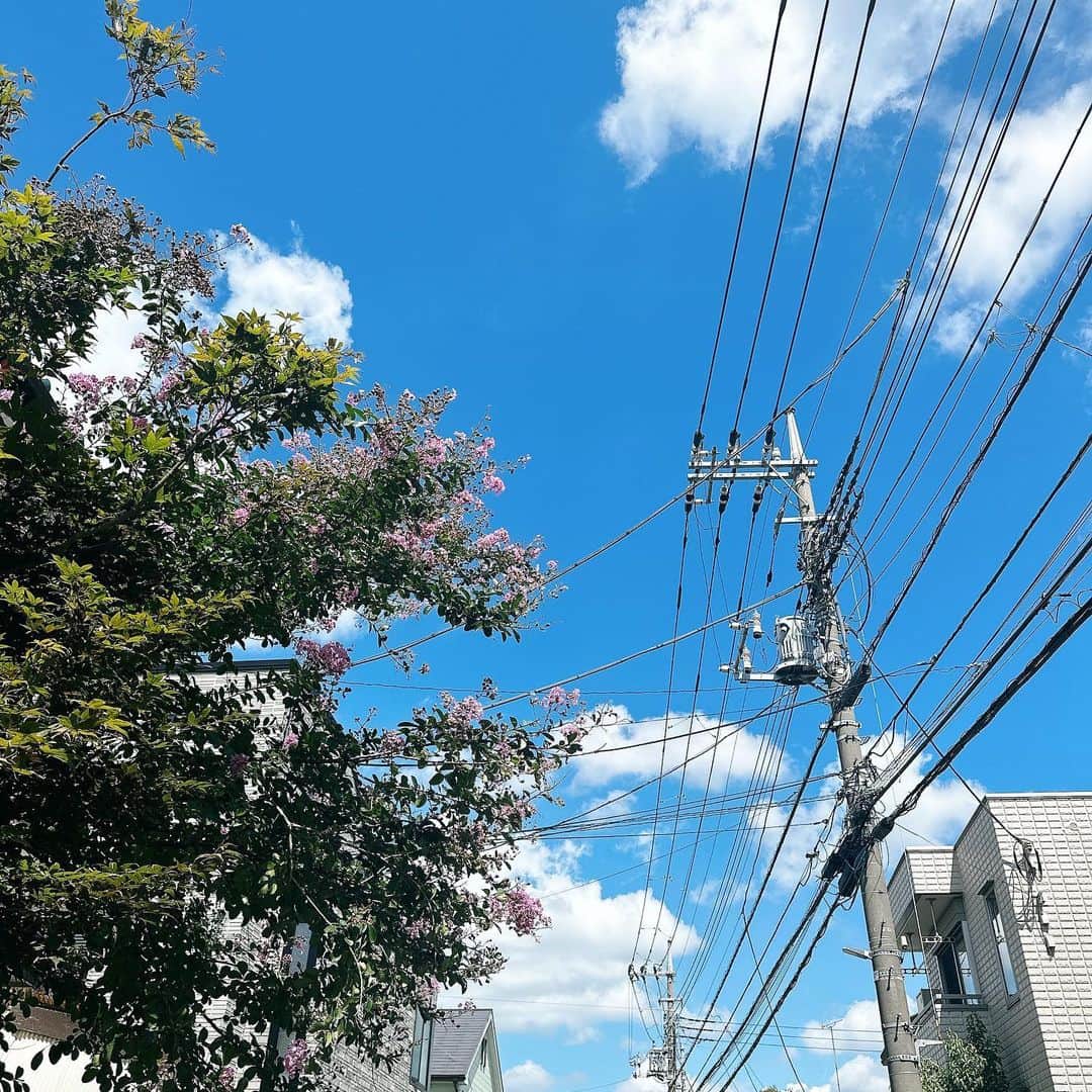 谷口彩菜さんのインスタグラム写真 - (谷口彩菜Instagram)「まだまだ夏の空☀️」9月18日 10時40分 - taniguchi_ayana