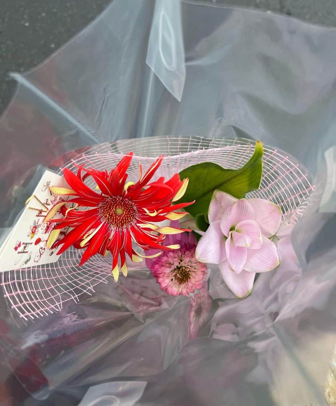 山内遥のインスタグラム：「.  るぅ素敵なお祝いありがと💐🤍 これかな〜あれかな〜って悩んでくれたお花嬉しい🫶🏻  .」