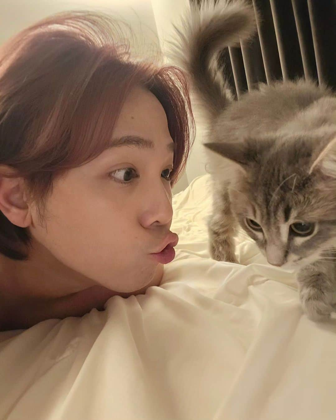 イ・ホンギさんのインスタグラム写真 - (イ・ホンギInstagram)「🐈🐈‍⬛🐱」9月18日 11時46分 - skullhong12