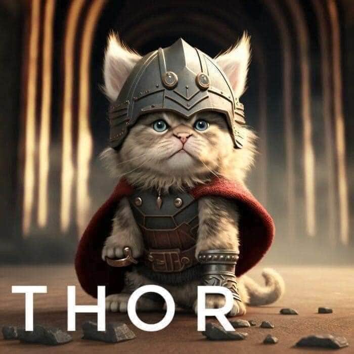 Aww Clubさんのインスタグラム写真 - (Aww ClubInstagram)「If cats were superhero  #meowed #cutecat #cat #AI #superhero #marvel #captainamerica #hulk #thor #ironman」9月18日 12時00分 - meowed