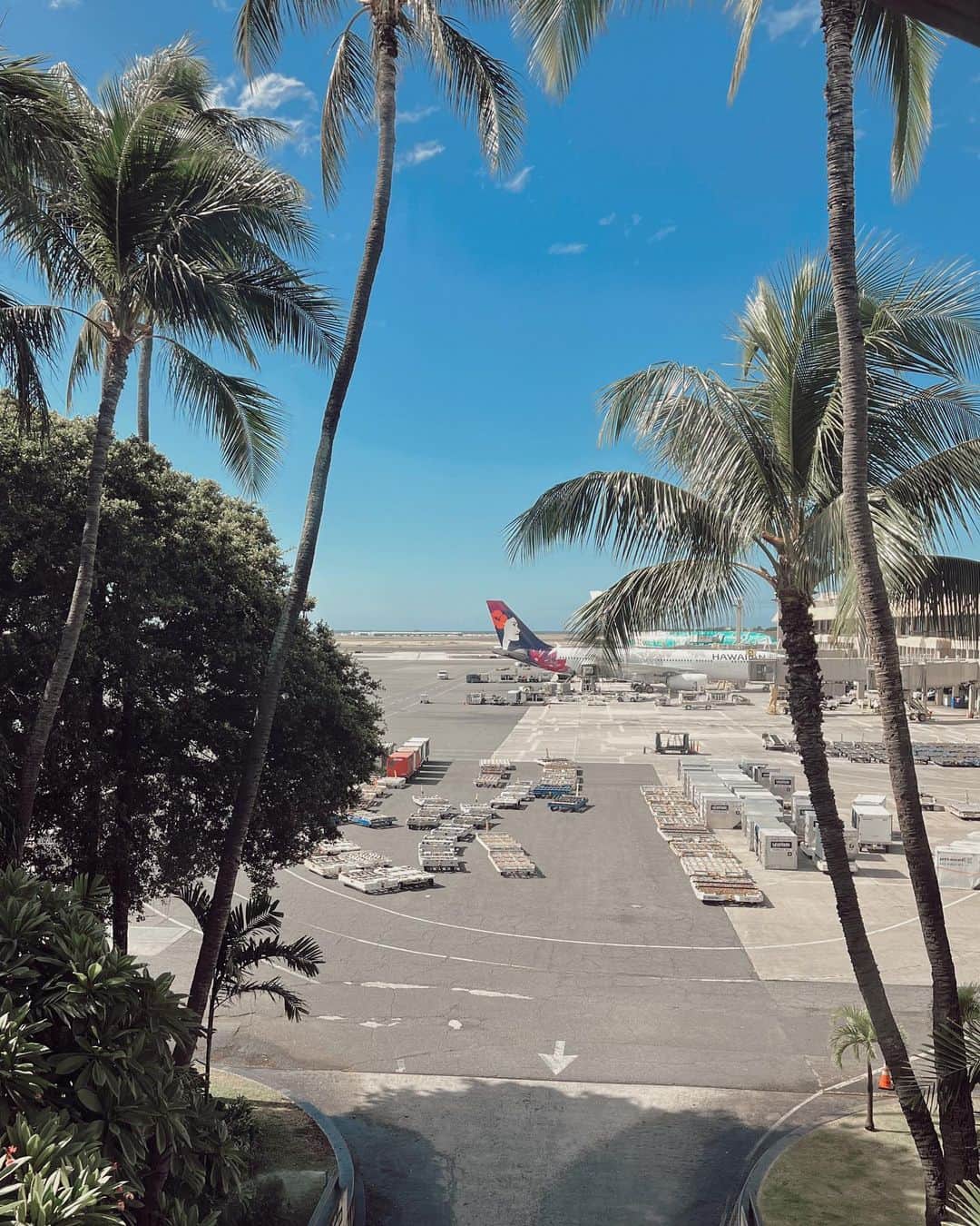 山中美智子のインスタグラム：「Hawaiian Airlines 🌺🛬　で再び🫰🏾」