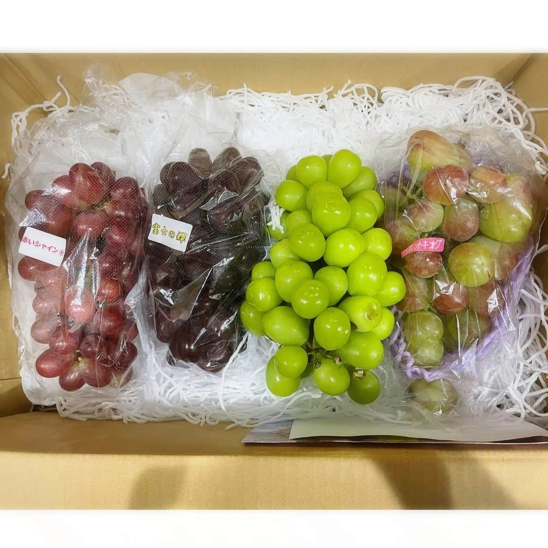 小林幸子さんのインスタグラム写真 - (小林幸子Instagram)「先日、シャトー勝沼🍇さっちゃん葡萄園🍇にて、ぶどうの収穫に行ってきました‼️　 初めてのぶどうの収穫、暑いくらいのいいお天気☀　  シャトー勝沼の皆さんのお陰で立派に育っていました✨ 11月3日には新酒解禁となり、私のワインも発売になります。もう名前も決まりましたよ😊　お楽しみに❤　  ぶどうをワインにするために搾った、搾りたてのジュースも頂きました‼️ 酸味と甘みのバランスが最高😆  そして、甲州市から美味しい、素晴らしい葡萄🍇を頂きました💕  いろんな種類があって、それぞれ特徴がありめちゃくちゃ美味しい❤　  シャインマスカットの作り方も先日教えて頂き、とても勉強になりました‼️ ありがたみを実感😊  今は、ぶどう刈り🍇の季節です✨ ぜひ、甲州へ行ってみてね‼️　 他にも甲斐サーモン🐟信玄豚🐷など、美味しいものが沢山✨  シャトー勝沼に寄って、さっちゃん葡萄園も見てきてね😊  #sachikokobayashi  #小林幸子  #シャトー勝沼  #さっちゃん葡萄園  #ぶどう狩り  #甲州市  #観光大使  #美味しいぶどう  #甲州市グルメ  #甲州ワイン」9月18日 14時05分 - kobayashi_sachiko_5884