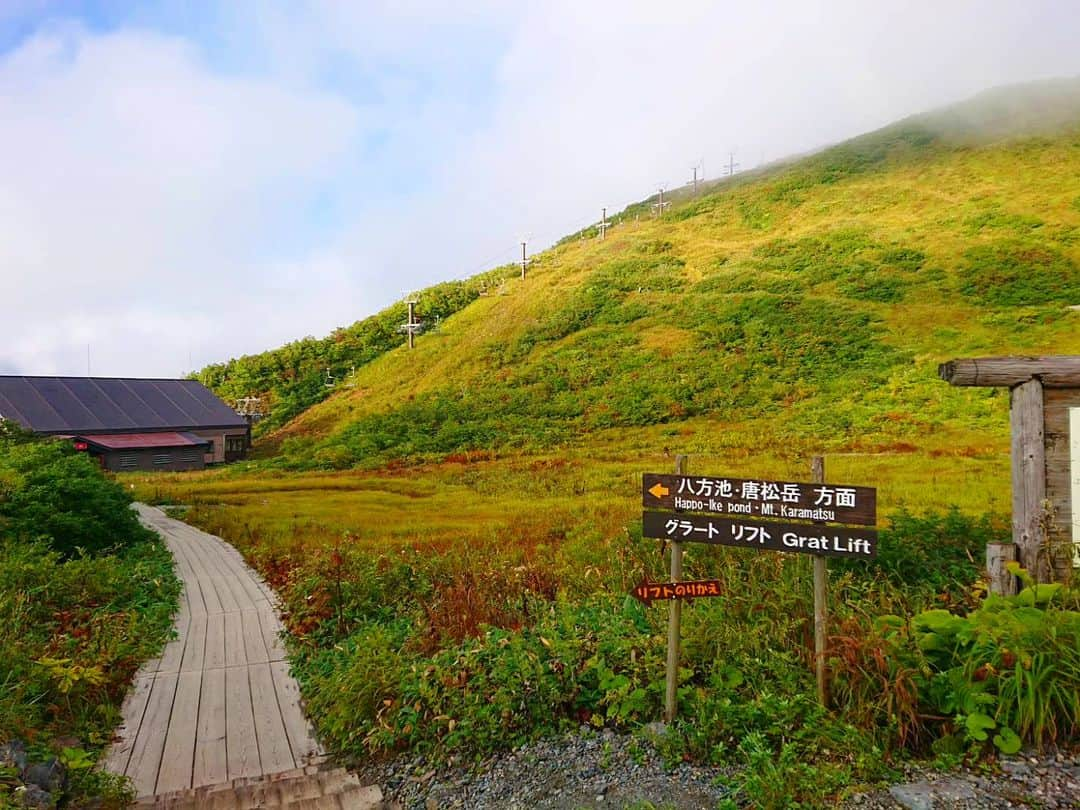 白馬八方尾根スキー場のインスタグラム：「黒菱平もすっかり秋の装いです🍁 朝は20℃を切る日が増えてきました！ 羽織物をお持ちになってお越しくださいね♪  #hakuba #happo #白馬 #八方尾根 #夏  #グリーンシーズン #八方池 #高山植物 #絶景 #白馬三山 #花 #かわいい #八方尾根自然研究路 #カラフル #八方アルペンライン #山 #山の日 #秋 #紅葉」