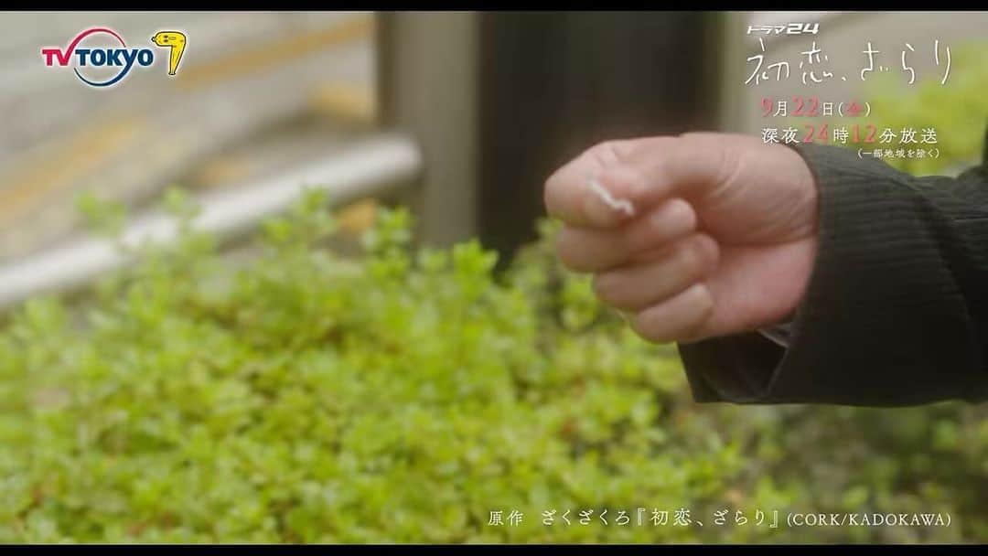 のインスタグラム：「#初恋ざらり 🌸🤍 最終回30秒PR解禁°･🐠  別々の人生を歩んでいくふたり…  ふとした時に 岡村(#風間俊介)との思い出が溢れ出し 一緒に過ごした日々が 忘れられない有紗(#小野花梨)  ついに最終回！ ふたりの結末は どうなるのでしょうか…？  9月22日(金)深夜24時12分放送  お楽しみに️🫧」