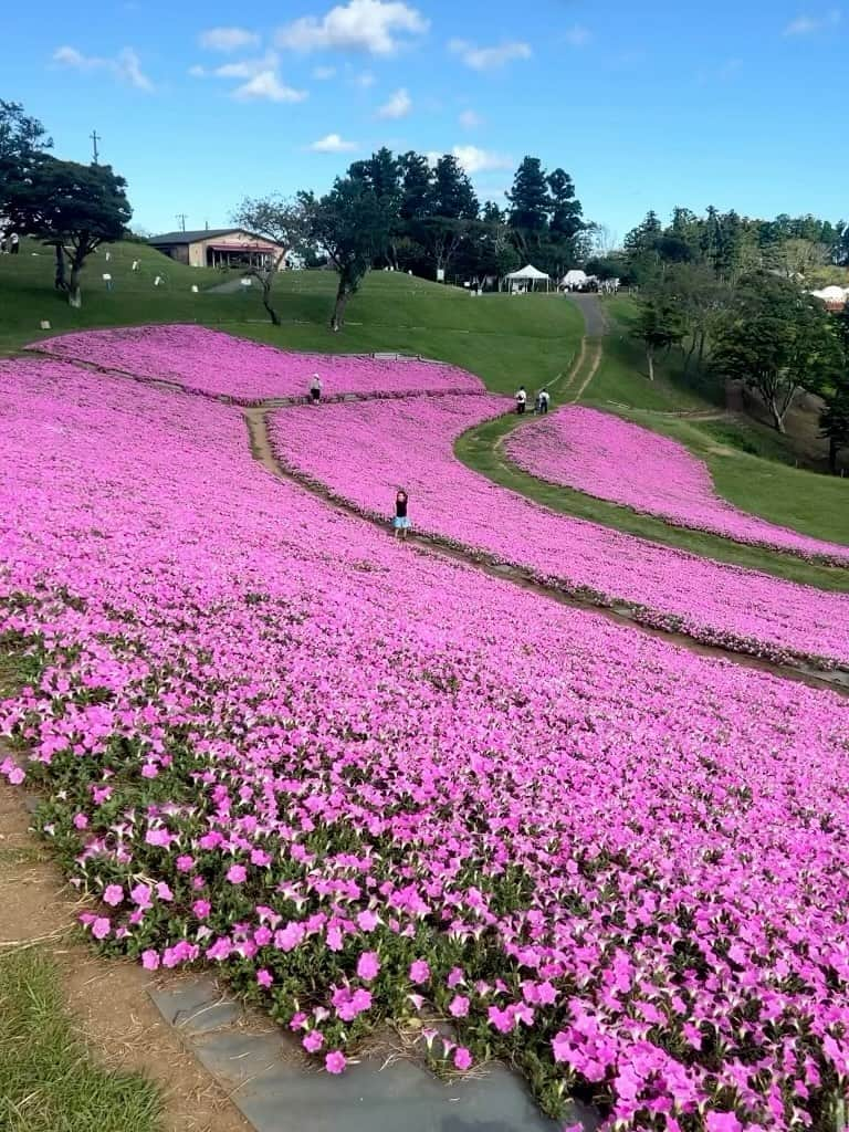 来夏のインスタグラム：「#💐 あっという間にもうすぐ4歳🥺💓  抱っこから 手を繋いで 見守る に変化していって  今では 見ないで といわれることも しばしば🥺💗  転んでも立ち上がる姿にたくましさを感じる😌 生まれたての頃は 同じ状況の他所のお母さんを見て なぜすぐ手を差し伸べないのかなと思ってたけど 今ならわかる気がする☺️  親子で成長していってます🦋  #love」