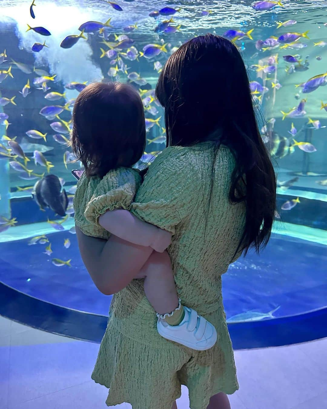 おかんとむすめさんのインスタグラム写真 - (おかんとむすめInstagram)「.  初めて家族４人で 水族館にいきました🐟🐡🐠  あちは魚をみて「わんわん！」と 大喜びでした😌笑  ねぇねがクジでとってくれた カワウソにも「わんわん！」と 大喜びでした😌笑  いい思い出が増えました🫶  #おかんとむすめ #年の差姉妹」9月18日 15時17分 - okanmusume