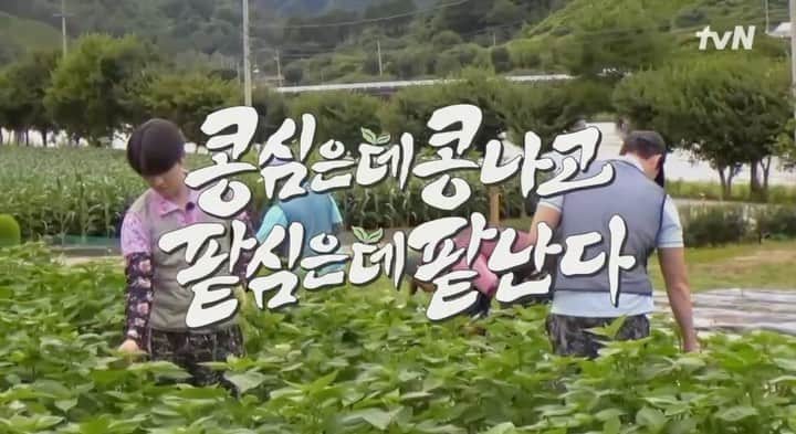 キム・ギバンのインスタグラム：「드디어!! 콩콩팥팥!!!!! . #콩콩팥팥」