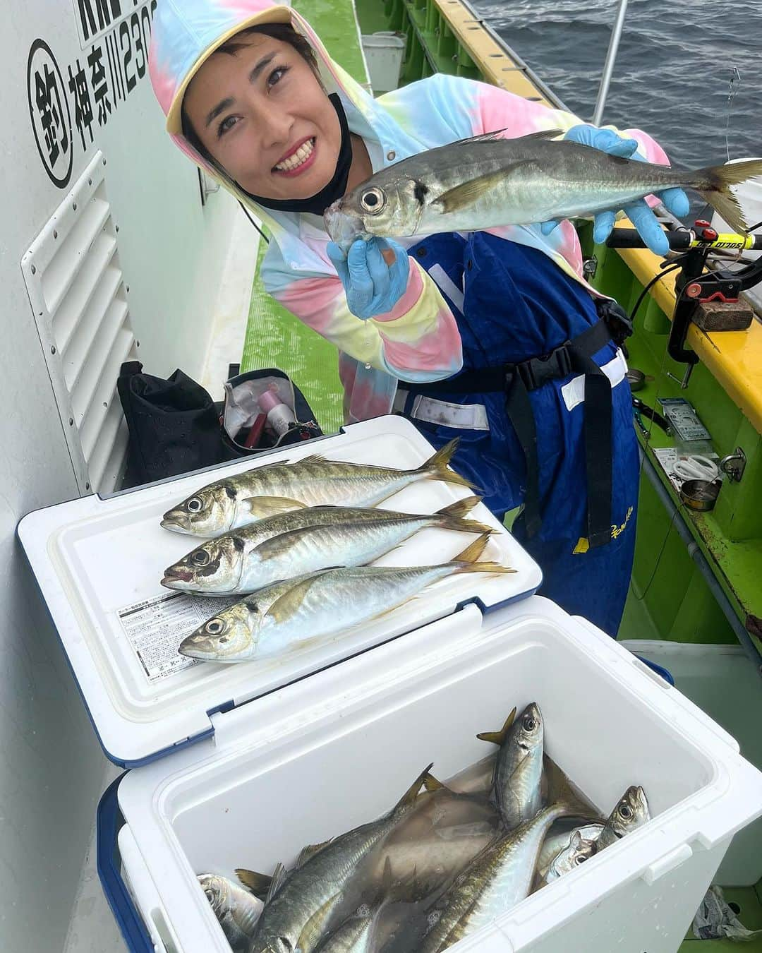 川目梢のインスタグラム：「先日の走水『海福丸』さん 走水のムキムキでっけぇアジ釣り🐟🐟🐟  出船前に型は中型中心で〜と 聞いていたのですが  1投目で37㌢ 2投目から40㌢おーばー  2尾釣った時点で気持ち的には取材が終わった感。笑 そうそうに絵ができて、走水のアジくんはとても空気がよめる良い子ちゃん❣️  てんきゅー てんきゅー  今、好調でござる🏃‍♀️🏃‍♀️🏃‍♀️ みなさんれっつらごー  #アジ #アジ釣り #釣り #釣りガール #釣り女子 #釣りスタグラム #釣りバカ #釣り好きな人と繋がりたい」