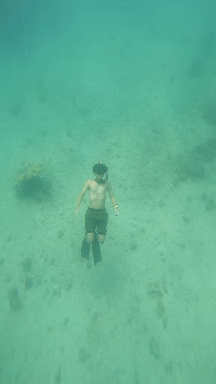 Hikaru Nakamuraのインスタグラム：「今年も一週間島旅してますよー🏝️ 今回の舞台は奄美大島🐬  いったいどんなアドベンチャーがあるのでしょう🥹  #奄美大島#海#夏#シュノーケル#シュノーケリング#スキンダイビング#倉崎ビーチ#ロングフィン」