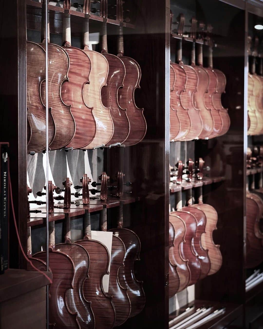 宮本笑里のインスタグラム：「後ろ姿も、美。  #violin #ヴァイオリン #tokyo #japan」