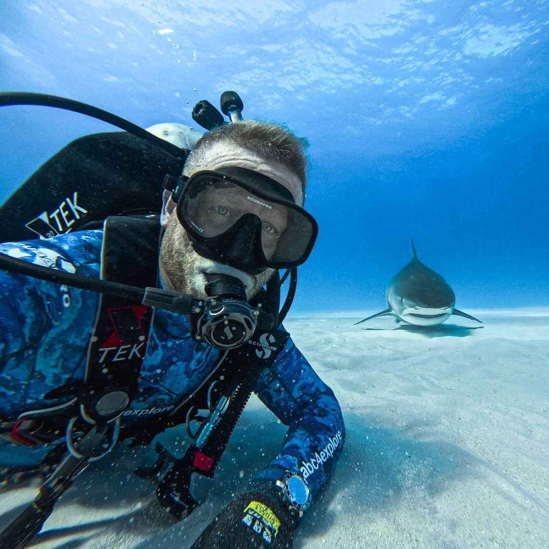 goproのインスタグラム：「Photo of the Day: Only #GoProFamily member @abc4explore would get photo-bombed by a tiger shark 🦈 Snapped with 27MP on #GoProHERO12 Black.  #ProTip: HERO12 Black is waterproof to 33ft (10m) straight out of the box + without a housing.  #GoPro #Diving #ScubaDiving #Scuba #Shark #Sharks #Bahamas #TigerShark」