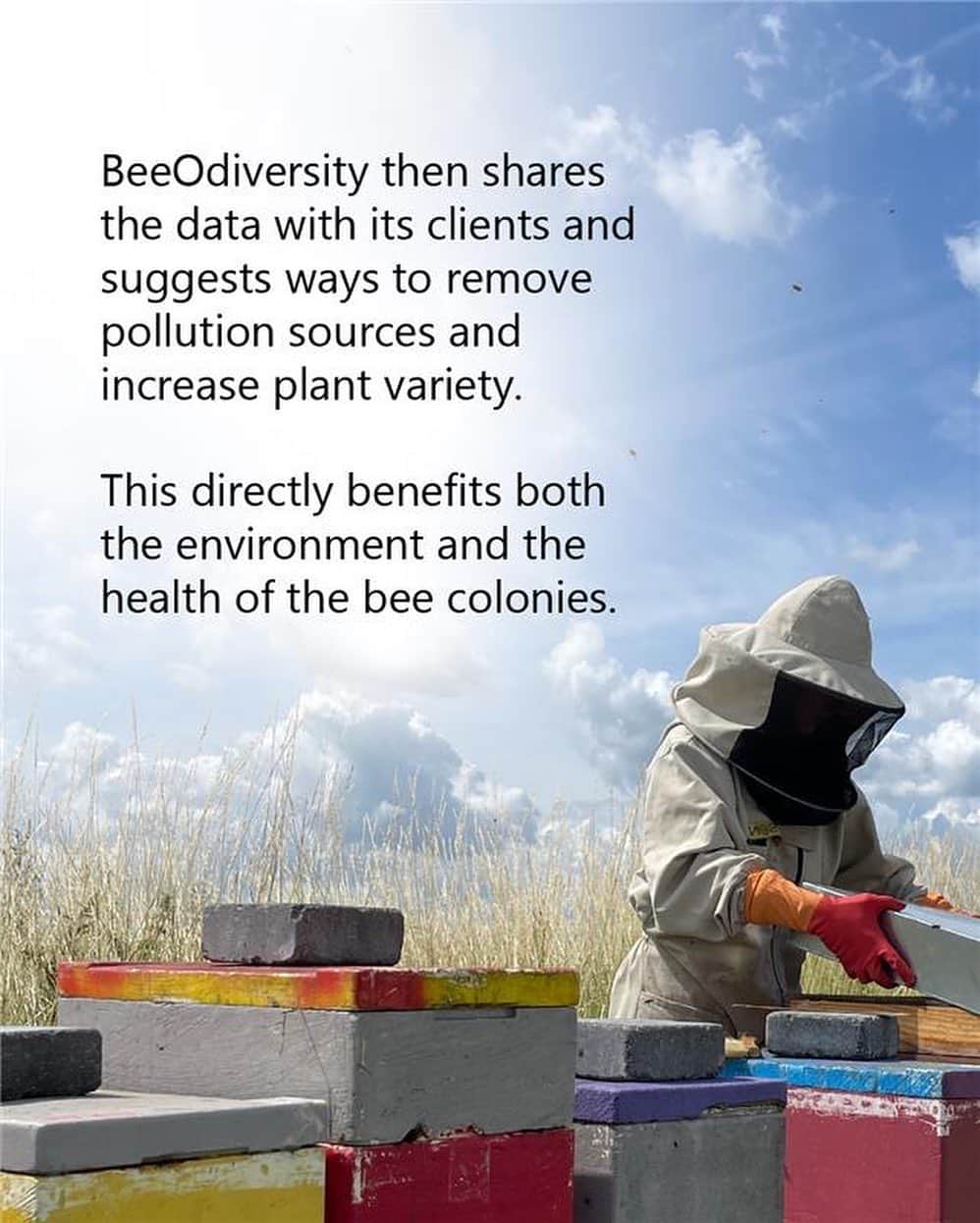 Microsoftさんのインスタグラム写真 - (MicrosoftInstagram)「With bees, we can harvest more than honey. 🐝」9月19日 2時31分 - microsoft