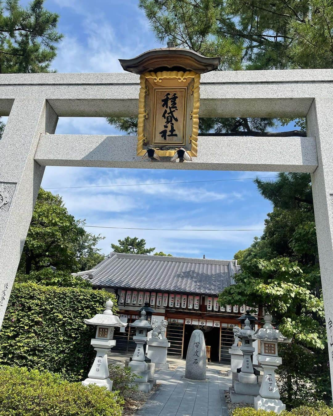 植田麻友美さんのインスタグラム写真 - (植田麻友美Instagram)「住吉大社さんのなかにある  種貸社さん⛩  「資金調達・子宝・知恵」を授けてくれる神様👼  『延喜式』の神名帳には「多米神社」と記載されている 歴史ある古社さん⛩  昔は  稲穂を授かって豊穣を祈る信仰だったみたいだけど  時代の変化と共に  商売の元手、子宝祈願に発展していったみたい🍀  住吉大社の「初辰まいり」では1番にお参りする⛩みたい！  子宝祈願をする方も沢山いて 子宝祈願で奉納された 「種貸人形」が沢山並んでたよ🙏  そして、一寸法師の発祥の地みたいで 手水舎が一寸法師で 境内に一寸法師のお椀もあったよ🤭  とっても可愛らしい 愛溢れる神社でした❤️  子どもを望むすべてのご夫婦に👫 素敵な家族のご縁が結ばれて欲しいなぁ🌸 と心が暖かくなった神社でした⛩ ##種貸社##住吉大社 ##願いの種##神社巡り好きな人と繋がりたい」9月18日 18時48分 - ue_mayutaro