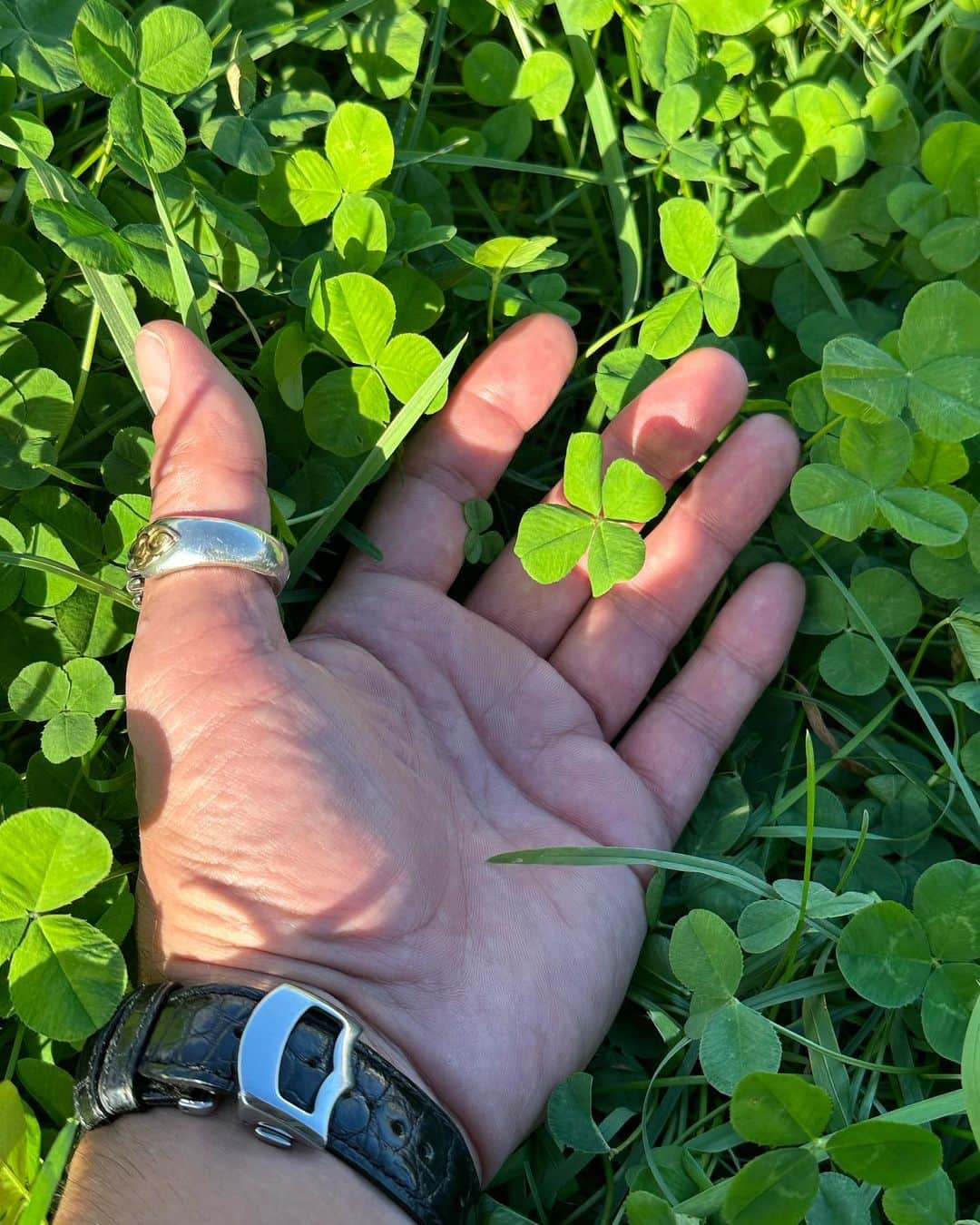 宇梶剛士のインスタグラム：「ウポポイの中で初めて見つけた🍀  昨日は千歳空港内で、アドベンチャートラベルワールドのトークショー。 今日はウポポイラジオに出演させてもらって、幼い頃からめんこかった(可愛かった)摩耶(関根)と高山さんと、アイヌ文化やあれやこれやとお話しさせてもらってきた。今日は摩耶たちは生中継で移動しながら最終地点のウポポイにやってきたので、彼らを待つ間に施設内をゆっく〜り回ることができて、その時に🍀　👀✨見つけたのさ♪湖畔や施設で声をかけてくれた方々に聞いてみれば、東京に兵庫や和歌山、三重からもやって来てくれていたり、神奈川からの団体も、もちろん道内からも、多くの人々が来てくれていてソコココで握手してお話しさせてもらったり📸パチリしたり…な〜んかね、他人な感じでなく身内な感じがして心地良い時間だった。 白老を後にする時に声をかけてくれたのは、去年の「夏の夜の夢」を東京まで観に来てくれたという女の子。イイネ！  もちろん、行程の中には札幌でコロンボ🍛をいただくというのも入れてもらっておりました😋🍀」