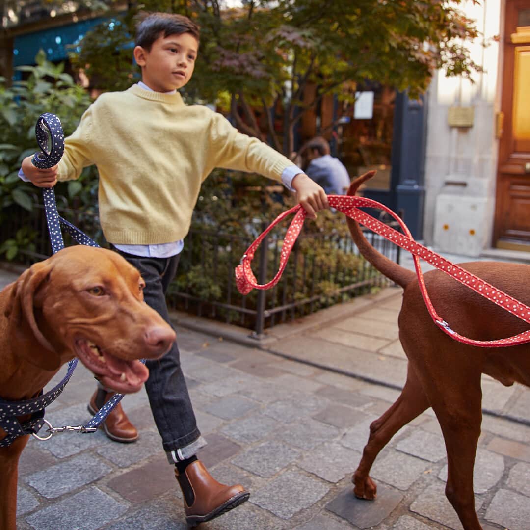 bonpointのインスタグラム：「Bonpoint ❤️ French Bandit ​ Collaboration alert, online exclusive. ​  Cats and dogs have always been welcome at Maison Bonpoint. ​ The collaboration with @BanditParis and the creation of the "Child's Play" collection reflects our vision of a family. ​  #Bonpoint #BonpointxFrenchBandit #NewCollection」