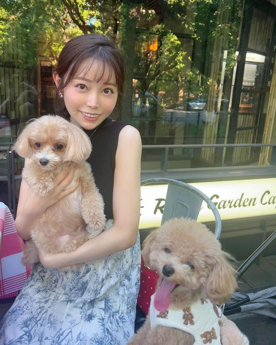 辻満里奈のインスタグラム：「お友達のわんちゃんと犬会🐩🤍  ２匹の絶妙な距離感が可愛かったです🤤  最後の動画がお気に入り💏  #犬会 #トイプードル #ティーカッププードル #マルプー #愛犬 #ワンピース #snidel #神宮外苑 #ロイヤルガーデンカフェ青山 #神宮外苑いちょう並木 #アナウンサー #セントフォース #辻満里奈」