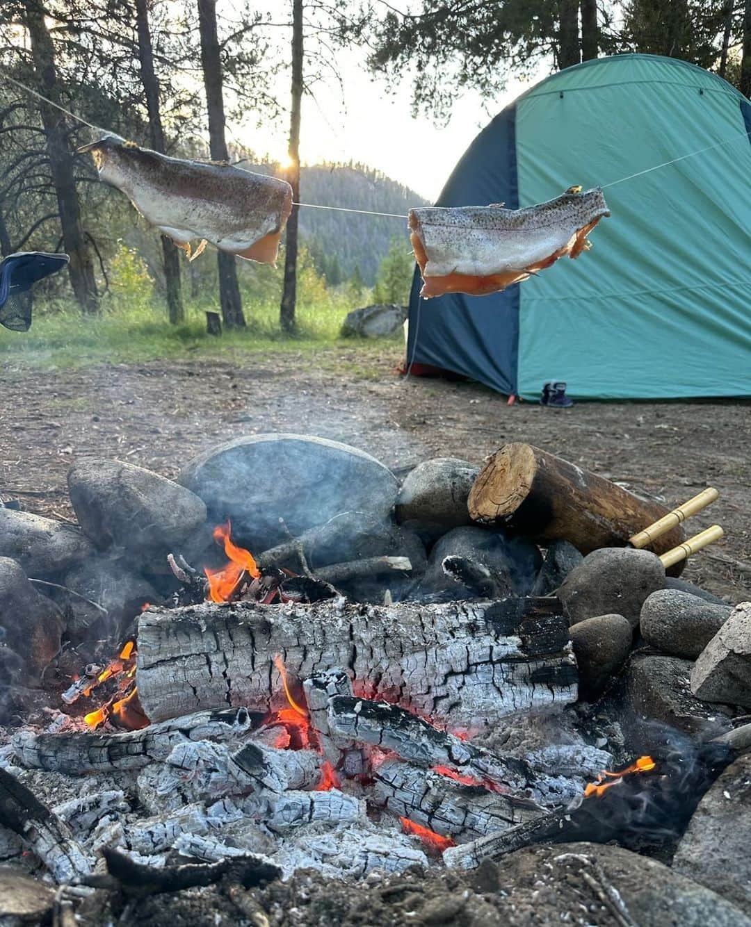 ケルティのインスタグラム：「Roastin' with the Rumpus! How bout a little freshly caught dinner before you crawl into bed 🎣😛⁠ ⁠ 📸 @thecolemancollection with the catch, and the best home away from home you can ask for, The Rumpus!⁠ ⁠ #keltybuilt #builtforplay #getoutside」