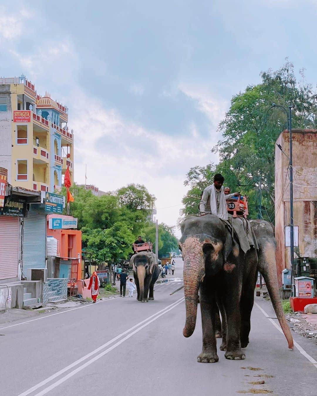 カオルコさんのインスタグラム写真 - (カオルコInstagram)「🐘★  ぞうしゃん🤍いいこいいこ あとね、ラクダと牛とヤギと大きめな犬がウロウロ  #india #elephant #kawaii #travel」9月18日 19時40分 - ka_ruk_