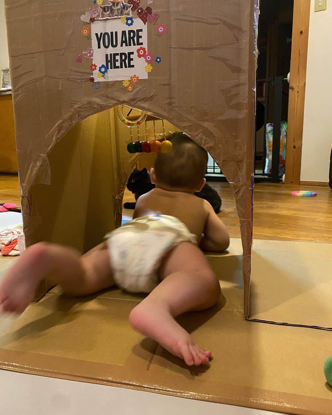 沙田瑞紀さんのインスタグラム写真 - (沙田瑞紀Instagram)「おっきな段ボールがたくさん出たので📦で工作。 こういうの大好き🥸🎊✌️  #赤ちゃんの家 #赤ちゃんの滑り台 #diy」9月18日 20時20分 - mizuki_masuda