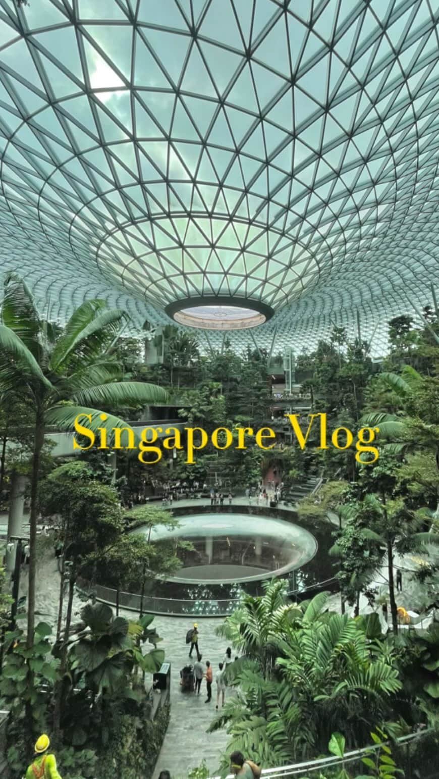 橋本紗奈のインスタグラム：「Singapore mini Vlog✈️💛  #vlog #minivlog #trip #シンガポール　#シンガポール旅行 #女子旅」