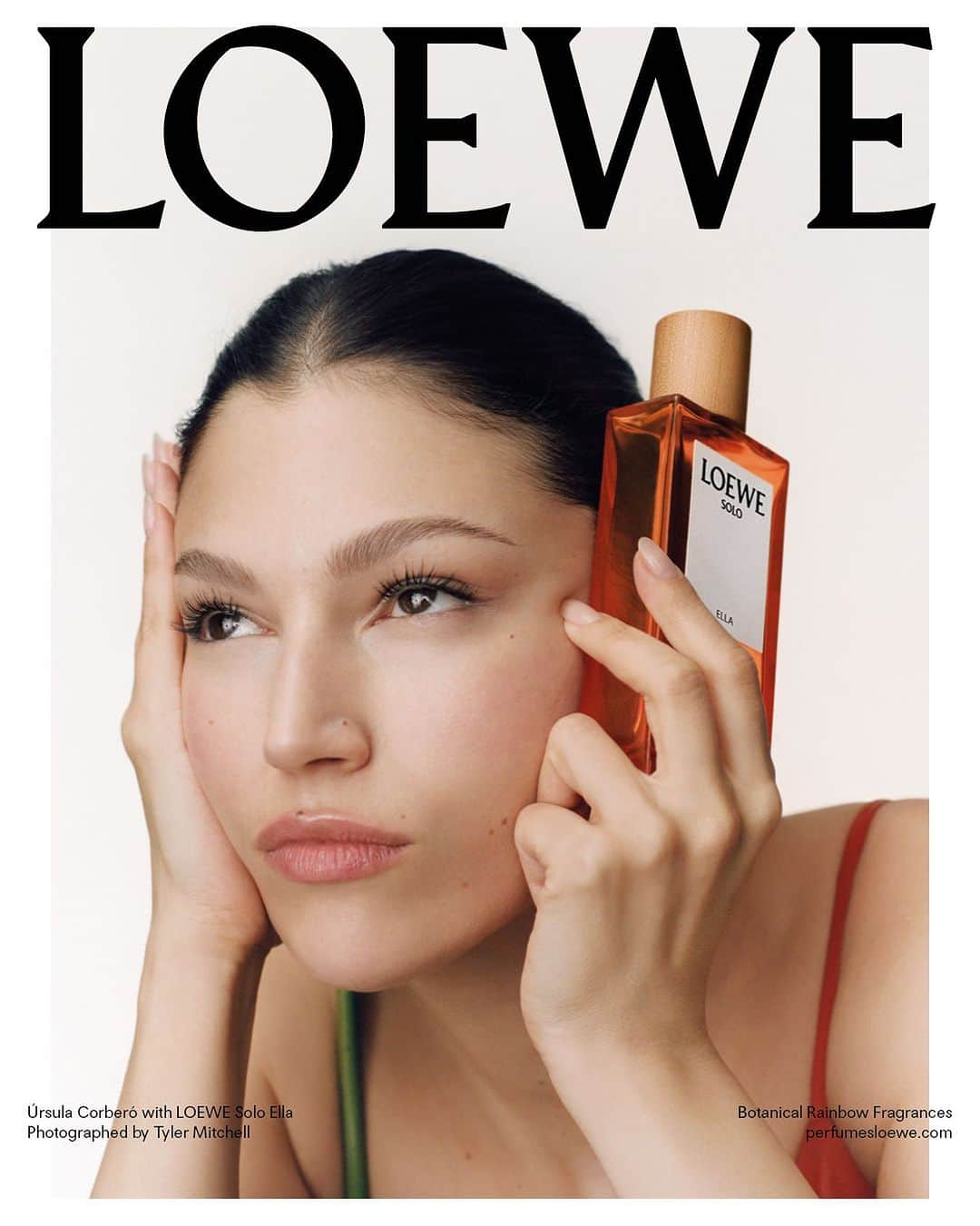 Loeweのインスタグラム