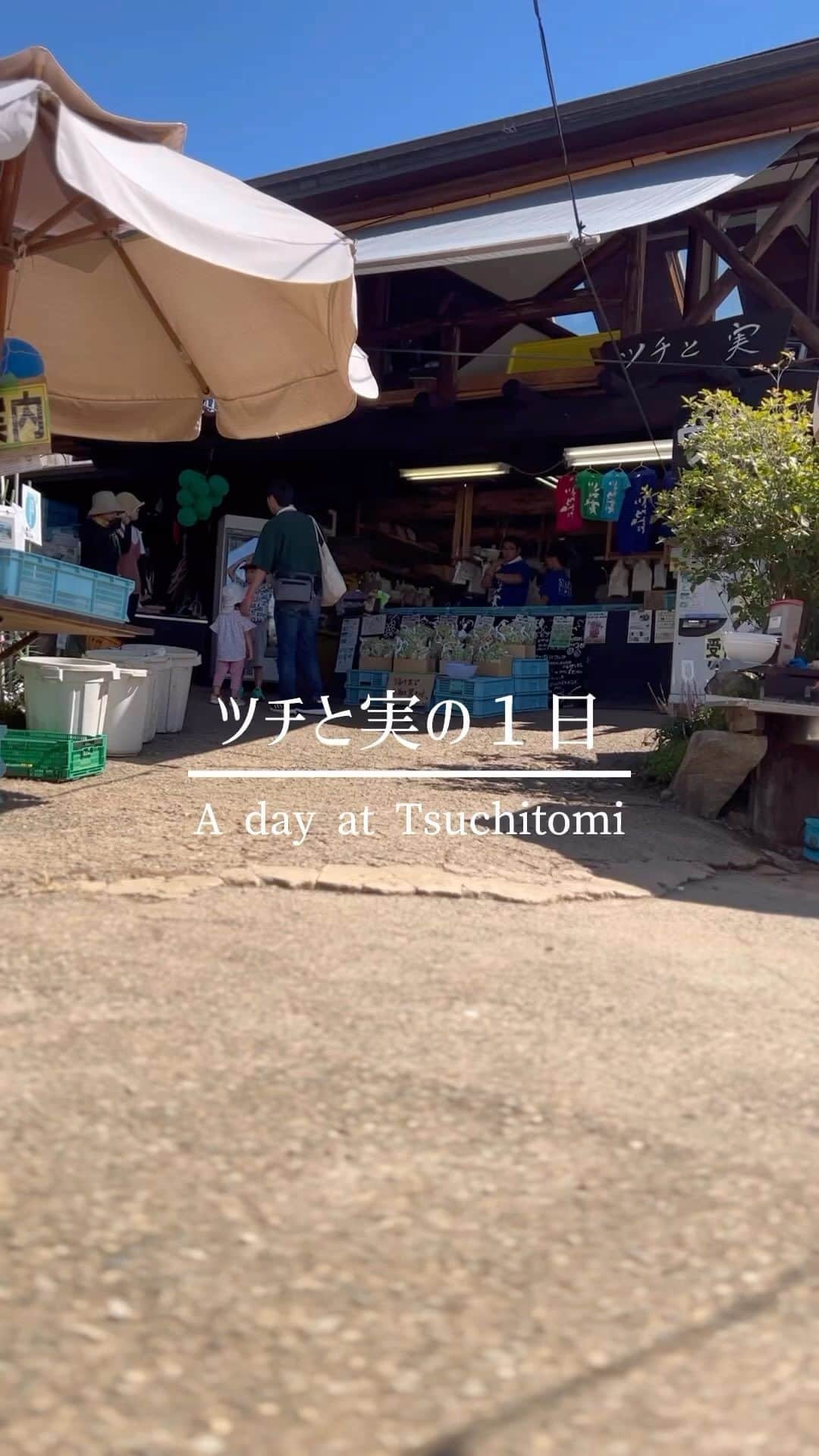 ツチと実のグルメインスタ