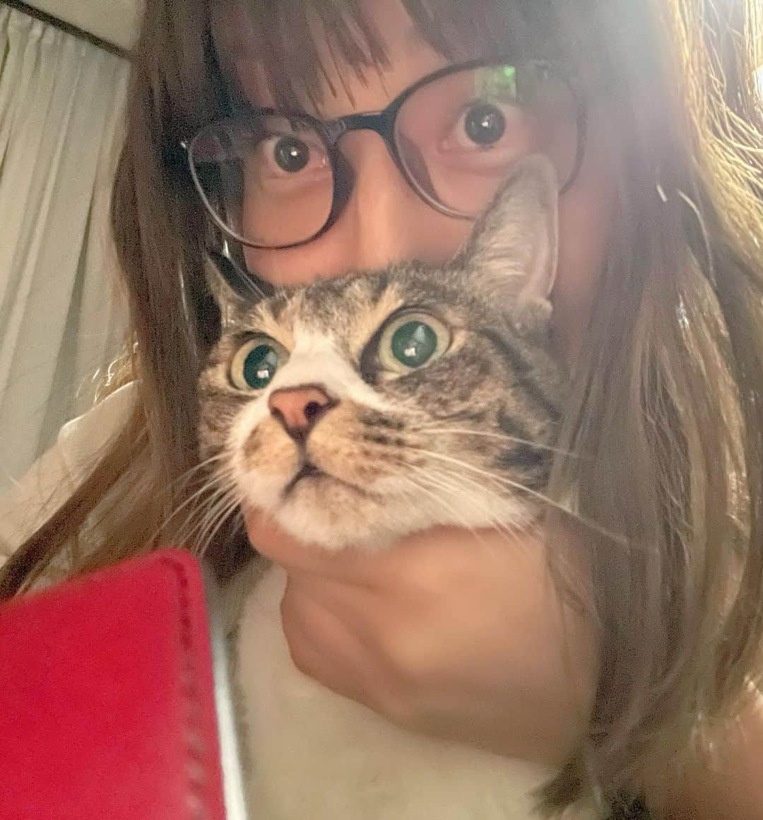 前田友理香のインスタグラム：「大好きだにゃー🐈  #猫 #cat #愛猫 #猫ちゃん#ニャンニャン」