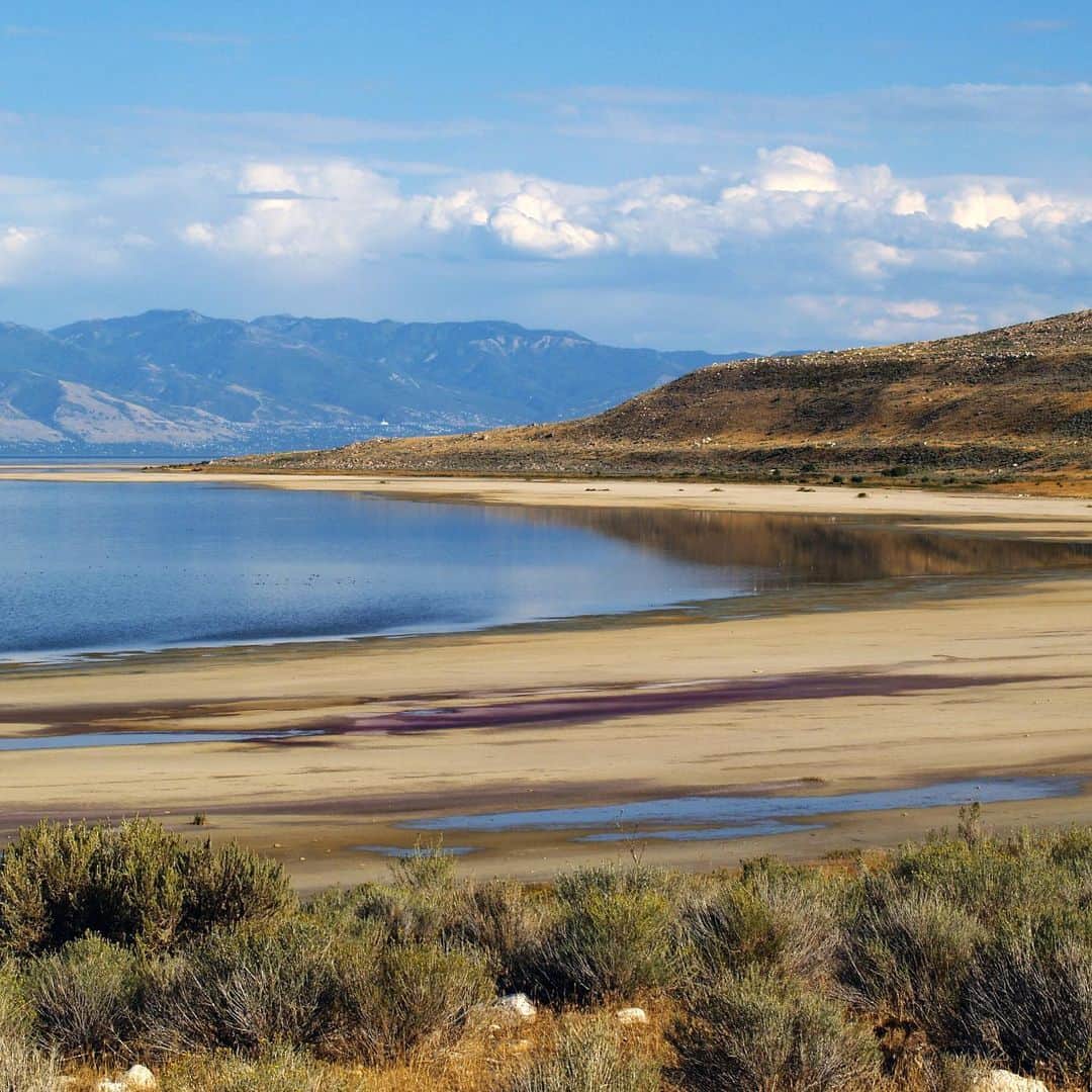 レオナルド・ディカプリオさんのインスタグラム写真 - (レオナルド・ディカプリオInstagram)「A group of conservation organizations including the @UtahRiversCouncil, @sierraclub, @utahphysicians, @americanbirdconservancy, and @centerforbiodiv are calling on the Utah government to do more to prevent the Great Salt Lake from drying up as the result of upstream water diversions.    According to a recent @sltrib story, the Great Salt Lake supports more than 10 million migrating birds that are in jeopardy of a massive die-off, along with brine shrimp and other wildlife that depends on the lake. Even more, as the lakebed dries, it turns into a toxic dust that could potentially poison the millions of people who live along the Wasatch Front if nothing is done.    “Every Utahn should be very worried about Utah’s failure to restore the Great Salt Lake,” said Zach Frankel, executive director of Utah Rivers Council. “We have the tools available to us to raise the Great Salt Lake’s water levels. But we’re failing to hold our elected and appointed officials accountable for even establishing so much as a goal to raise the lake.”   Visit the link in bio to sign the petition from @sierraclubutah to ask Utah’s political leaders to set an example by protecting and restoring the largest saline ecosystem in the Western Hemisphere.」9月18日 23時26分 - leonardodicaprio