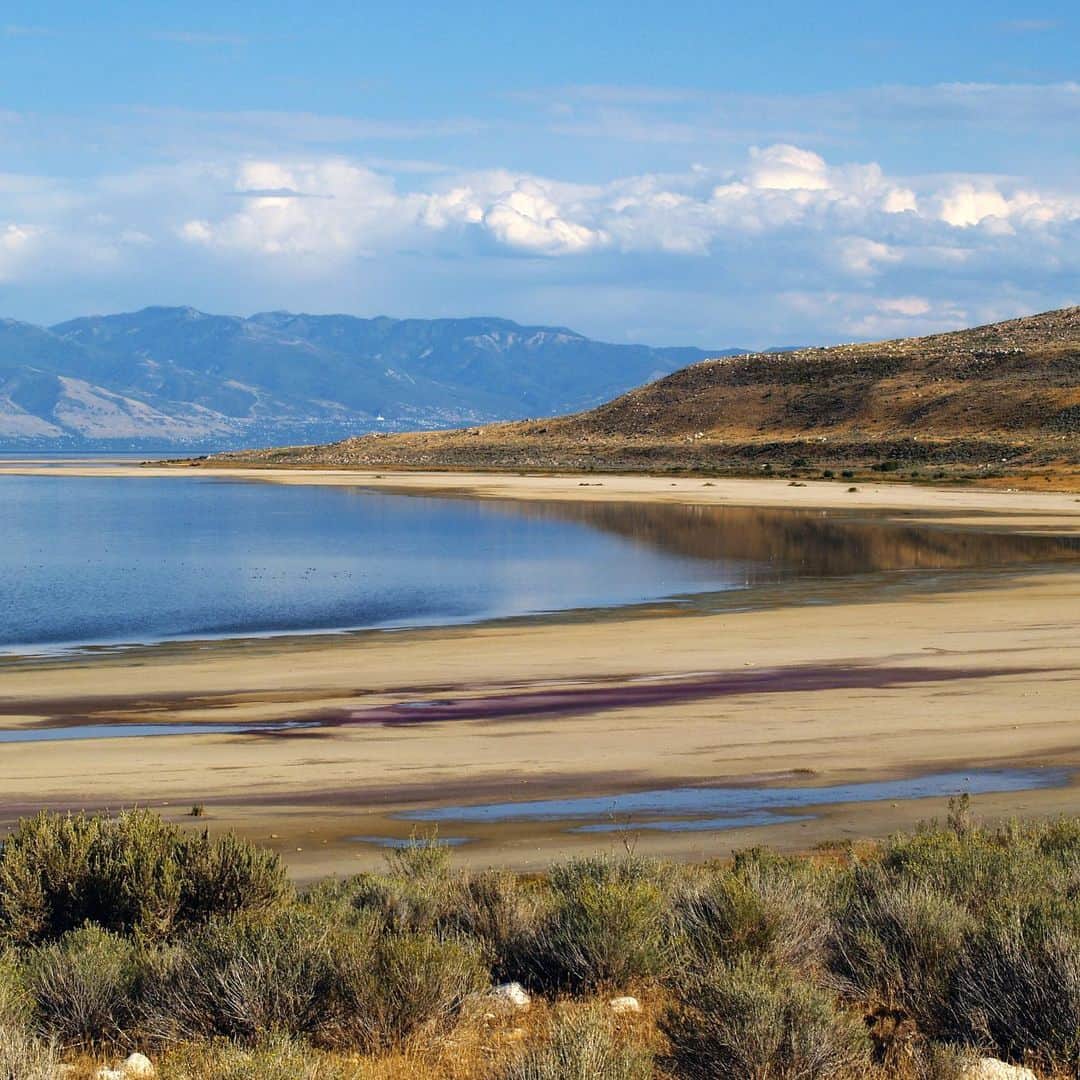 レオナルド・ディカプリオのインスタグラム：「A group of conservation organizations including the @UtahRiversCouncil, @sierraclub, @utahphysicians, @americanbirdconservancy, and @centerforbiodiv are calling on the Utah government to do more to prevent the Great Salt Lake from drying up as the result of upstream water diversions.    According to a recent @sltrib story, the Great Salt Lake supports more than 10 million migrating birds that are in jeopardy of a massive die-off, along with brine shrimp and other wildlife that depends on the lake. Even more, as the lakebed dries, it turns into a toxic dust that could potentially poison the millions of people who live along the Wasatch Front if nothing is done.    “Every Utahn should be very worried about Utah’s failure to restore the Great Salt Lake,” said Zach Frankel, executive director of Utah Rivers Council. “We have the tools available to us to raise the Great Salt Lake’s water levels. But we’re failing to hold our elected and appointed officials accountable for even establishing so much as a goal to raise the lake.”   Visit the link in bio to sign the petition from @sierraclubutah to ask Utah’s political leaders to set an example by protecting and restoring the largest saline ecosystem in the Western Hemisphere.」