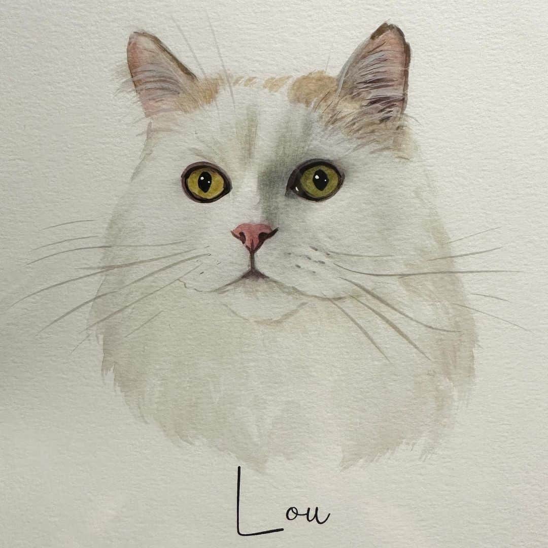 のインスタグラム：「This beautiful portrait of Lou just arrived. Thank you so much @jerseylove7! It’s stunning in person, I love it! Thank you so much for thinking of me. 💗💗」