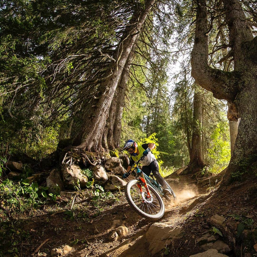 Shimanoさんのインスタグラム写真 - (ShimanoInstagram)「Spectacular scenes in Châtel as the @uci_mtbworldseries EDR 2023 came to a close in the Haute-Savoie forests. In the end, @morganecharre from the @pivotfactoryracing team came in first place by the narrowest of margins, even after seven stages of racing! A big congrats to both on a brilliant battle. @richie_rude1 went full boss mode to bring home the overall UCI Enduro World Cup title for the Men’s section. Jaw-dropping brilliance with a touch of XTR magic.   #ShimanoMTB #MakeYourMark 📸 @kikeabelleiraphoto」9月19日 0時12分 - rideshimano