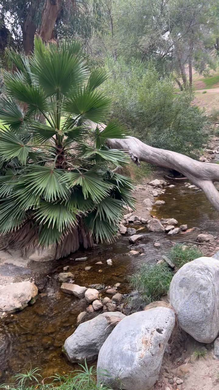 JO BAKERのインスタグラム：「This magic is 5 mins from my house…. 💦 when i come up for air …take time off from chasing “the dream” …..create time to discover new places and remember the things that are most important to me ~ often revolve around being near and embedded in nature. 🍃 Sometimes we realize the dream is exactly this.  To be with natures energy in peace for a moment of pause. The new wealthy. 🙏🏻🤍 #discoverearth #hiddengems #pause #nature #naturelovers #naturephotography #runningwater #asmr #wealthy #connected #newchapters #stream #river #woods #woodland #ohm #gratitude 🙏🏻🤍 #secret #hikesofinstagram」