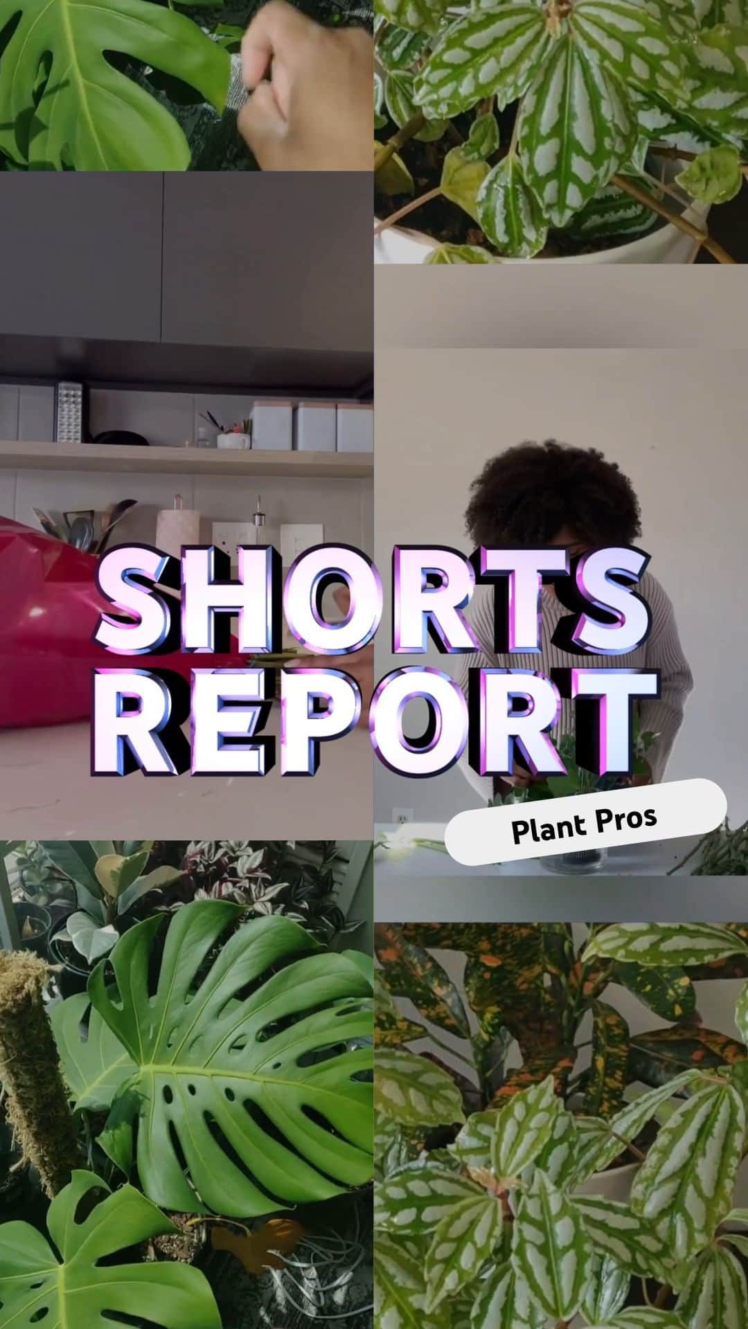 YouTubeのインスタグラム：「nothing like the right plant or arrangement to brighten up your home! feat–@oh_smallstuff @Flowersbyalexis @kill_this_plant」