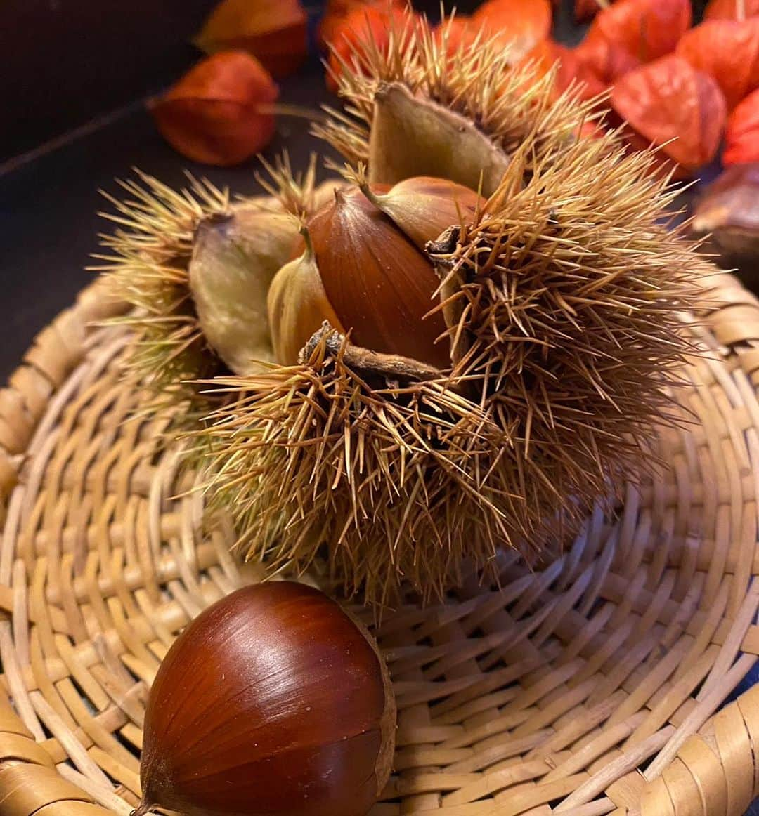 野沢温泉　村のホテル　住吉屋さんのインスタグラム写真 - (野沢温泉　村のホテル　住吉屋Instagram)「栗を拾いに阿弥陀堂へ🌰 稲刈りも始まり、秋らしくなってきましたね！  #野沢温泉村  #村のホテル住吉屋  #秋の始まり🍁  #飯山市瑞穂  #阿弥陀堂」9月19日 12時53分 - sumiyosiya