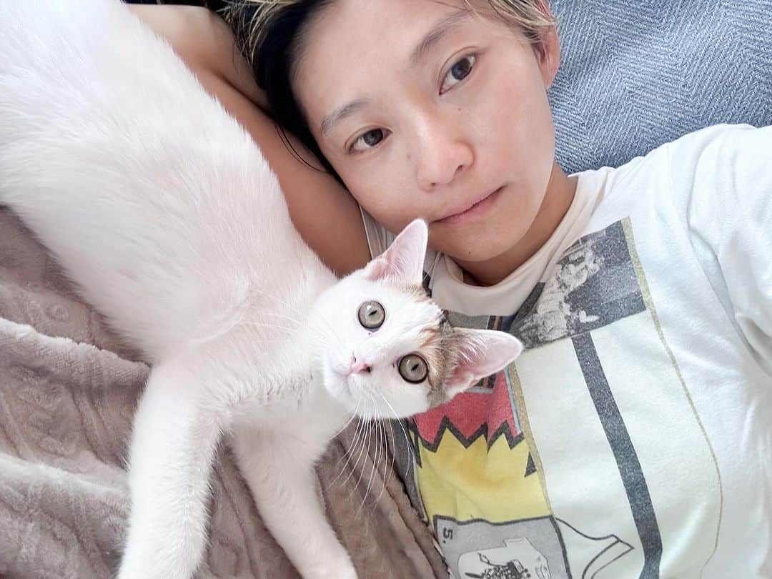 七咲友梨さんのインスタグラム写真 - (七咲友梨Instagram)「わたしのねこちゃんのようだけど、友達のとこの子です。 また会いたいし、また一緒に寝たーい！  #ねこかわいい」9月19日 11時40分 - nanasaki_yuri