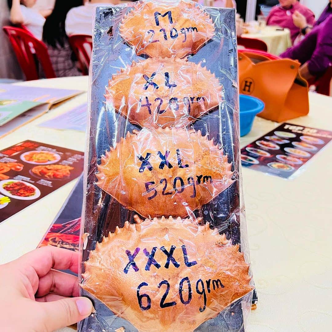 柳家三之助さんのインスタグラム写真 - (柳家三之助Instagram)「マレーシア最後の晩餐はカニカニ美容室。手も服も顔もべちょべちょにして甲殻機動隊に立ち向かいました。#SNKアジア旅2023」9月19日 11時44分 - sannosuke