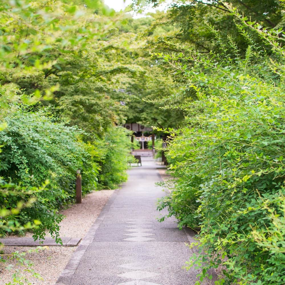 SOU・SOUさんのインスタグラム写真 - (SOU・SOUInstagram)「「萩の宮」として、神社の萩を愛でる。 - - - - - - - - - - - - くさかんむりに秋と書いて、「萩（ハギ）」  秋の七草にも数えられる「萩」は万葉集に詠まれた植物の中で最も多く、古くから日本人に愛されてきた植物でもあります。  その名所として知られる京都の「梨木神社」では毎年9月中旬頃に萩まつりが行われます。  参道の両脇を埋める500本以上の萩に、奉納された俳句をしたためた短冊が吊るされ、神前には鈴虫を入れた虫籠。想像しただけでもなんとも風情のある風景です。可憐に咲く萩の間に吊るされた俳句や短歌たちは、さながら七夕の短冊のようにも感じます。  今年は23日（土）・24日（日）の2日間行われる予定。週末におすすめな京都・秋の伝統行事です。  一つ家に 遊女も寝たり 萩と月  脇阪さんが描いた「萩まつり」には、萩にちなんだ松尾芭蕉の句が描かれております。優しいタッチの脇阪さんの絵葉書とともに京都の秋が少しでも伝われば幸いです。（ハルナ）  ■梨木神社（なしのきじんじゃ） 京都市上京区にある神社。梨木神社は京都三名水のひとつ「染井の井」を有することでも知られている。  ■萩まつり 「萩の宮」として名高い梨木神社の萩を愛でる祭。境内には約500本の萩が咲き乱れ、一般の方が献詠した短冊が萩の枝に吊される。例年では俳句大会やお茶席、狂言・舞踊などさまざまな伝統芸能も奉納される。  #sousou #sousoukyoto #shrine #kyoto #京都 #そうだ京都行こう #神社 #神社仏閣 #お祭り #期間限定 #秋 #風物詩 #秋の風景 #京都旅 #京都のくらし #日々の暮らし #松尾芭蕉 #俳句 #おくのほそ道」9月19日 12時00分 - sousoukyoto