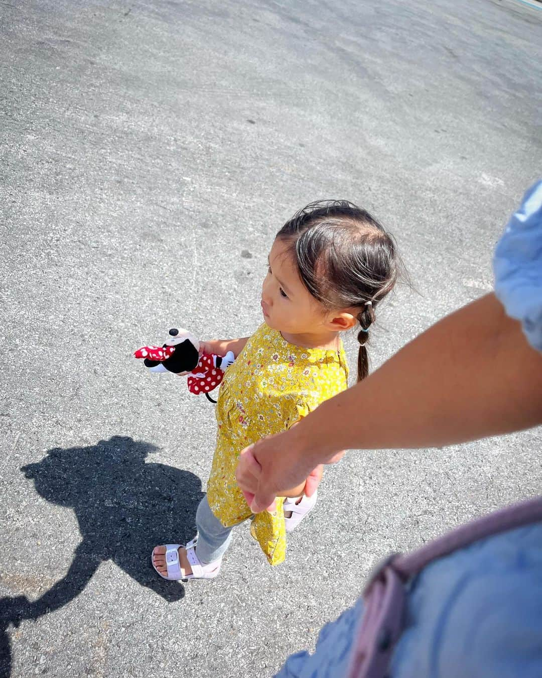 友稀サナさんのインスタグラム写真 - (友稀サナInstagram)「パパとバイバイした翌日👋✈️ 子供達にザ‼️観光‼🌺️させてあげたいな〜って考えて、どうやって見つけたか思い出せないけど(←)那覇港から船乗れんじゃん‼️ って知ってお義母やんを道連れに即予約取った水中観光船🚢🐬☀️ . ある程度の沖まで行ったら船の地下(？)にある部屋に移動して海中を見るスタイル👀🌊🐟 グラズボートの枠なのかなこれは🤔 . 天気とか何にも考えず予約したもんだから(さすがすぎる)受付行って海中透明度1が最高で5が最低って表示を見つけてこの日レベル4で笑ったwww そういえば台風だったwww なんも見えない可能性www . 100人以上乗れる船に10人くらいしかお客居なくて幸先不安すぎるスタート🫨 まぁ空いてるのは助かるけどねえ…。 . お義母やんが「わ〜✨沖縄観光してるって感じ〜✨🌊」って楽しそうにしてた😌(いや故郷〜💁‍♀️‼️) . もう海中観光って事は忘れてクルージングしたと思おう🤝って気持ちだったけど、一応ほんのり見れた🐟🏝️ まじほんのり‼️😂 次レベル4だったら乗らないw 勉強になったなｧ😌(←) . ちなみに大人1名2000円で、全工程で１時間くらいのコースだよ🚢🙌 船内ウロウロ出来るし子供が飽きる前に降りれる時間配分最高🤣✌️ . 那覇港行くのにうちは乗り物好きな兄さんの為にゆいレールに乗って、🚃最寄りの旭橋駅からはタクシーで5〜10分くらいで着くよん🚗 . レベル1だったらすんッごい綺麗なんだろうな〜🥹✨ ここはリベンジしたいな🤔🔥 . . . #沖縄#沖縄旅行#ワンオペ沖縄 #ワンオペ旅行#沖縄観光 #沖縄観光スポット#那覇観光 #子連れ旅行#子連れ沖縄 #沖縄好きな人と繋がりたい  #海中観光船#オルカ号#那覇港 #那覇市#クルージング#グラズボート #3歳男の子#2歳女の子#年子#年子ママ  #年子兄妹#2児ママ#ママリ#ママライフ #海中#まともに見れん #みんな黙って見てた #多分みんな同じ気持ち」9月19日 12時15分 - sana0810yuuki