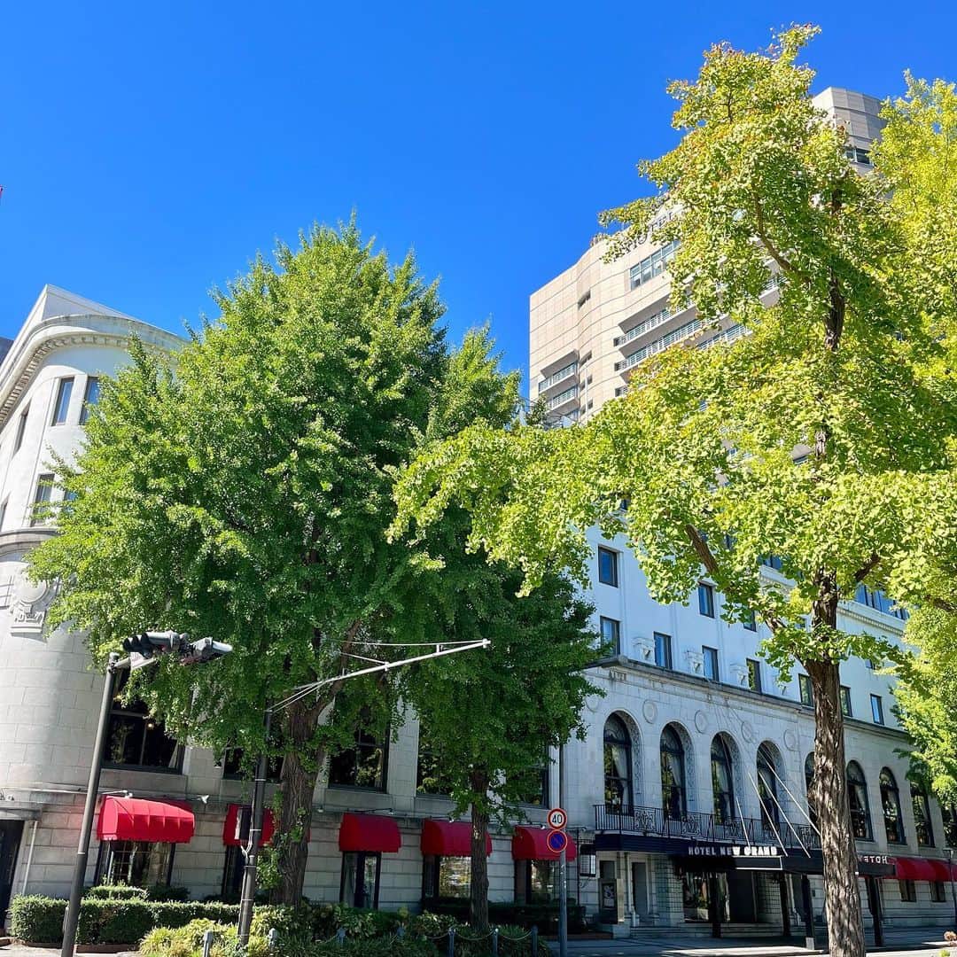 【公式】ホテルニューグランドさんのインスタグラム写真 - (【公式】ホテルニューグランドInstagram)「＊ まだまだ暑い日が続いておりますが、 夏空より深まった空の青さや 少しずつ色づく葉に 秋の訪れを感じました🍂✨   #ホテルニューグランド #横浜 #横浜ホテル #クラシックホテル #歴史的建造物 #フォトジェニック #歴史 #建築 #カフェ #コーヒーハウス #秋 #秋の味覚 #シャインマスカット #家族 #家族旅行 #青空 #青空フォト #快晴 #快晴の空 #秋空 #秋空が綺麗 #hotelnewgrand #yokohama #summer #autumn」9月19日 12時39分 - hotelnewgrand