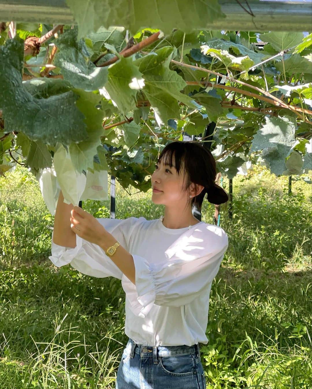 木本泉さんのインスタグラム写真 - (木本泉Instagram)「- ぶどう狩り🍇  太陽光発電のパネルの下にあるぶどう畑💜 観光用の畑ではないので草が生い茂ってますが自由に好きなだけ取り放題😋  子供達が走り回って大きなシャインマスカットはどれかな〜と🪜を持って一生懸命採っていたのが可愛かった💜  私は椅子に座ってほとんどゆっくり光景を眺めてました😌  #山梨#ぶどう狩り#韮崎」9月19日 12時44分 - izumikimoto