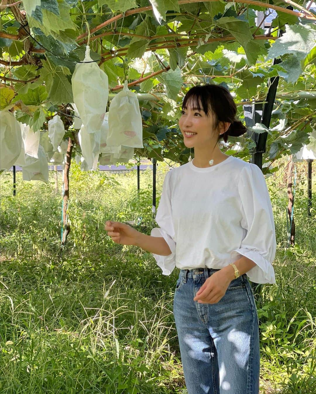 木本泉さんのインスタグラム写真 - (木本泉Instagram)「- ぶどう狩り🍇  太陽光発電のパネルの下にあるぶどう畑💜 観光用の畑ではないので草が生い茂ってますが自由に好きなだけ取り放題😋  子供達が走り回って大きなシャインマスカットはどれかな〜と🪜を持って一生懸命採っていたのが可愛かった💜  私は椅子に座ってほとんどゆっくり光景を眺めてました😌  #山梨#ぶどう狩り#韮崎」9月19日 12時44分 - izumikimoto