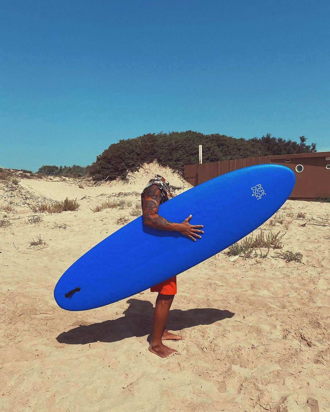 Giuseppe Pepeのインスタグラム：「#loosingmymind  SEPTEMBER VIBES 🏄‍♂️🦑🌞 #pepedsgn ✶ ↓ ✶ ↓ ✶ ↓ ✶ ↓ ✶ ↓ ✶ ↓ ✶ ↓ ✶ ↓ ✶ ↓ ✶ #headlesspic #creativeart #designideas  #creativephotography  #giuseppepepe」