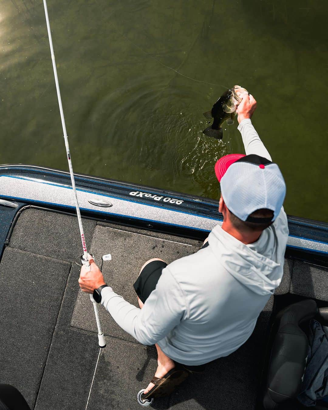 アブガルシアのインスタグラム：「The Veritas PLX spinning combo features a 10+1 bearing system and lightweight aluminum frame reel, with Veritas rods powered by our exclusive Powerlux 100 resin technology❄️ Who else has been putting theirs to work this summer?    #abugarcia #fishing #bassfishing #veritas」