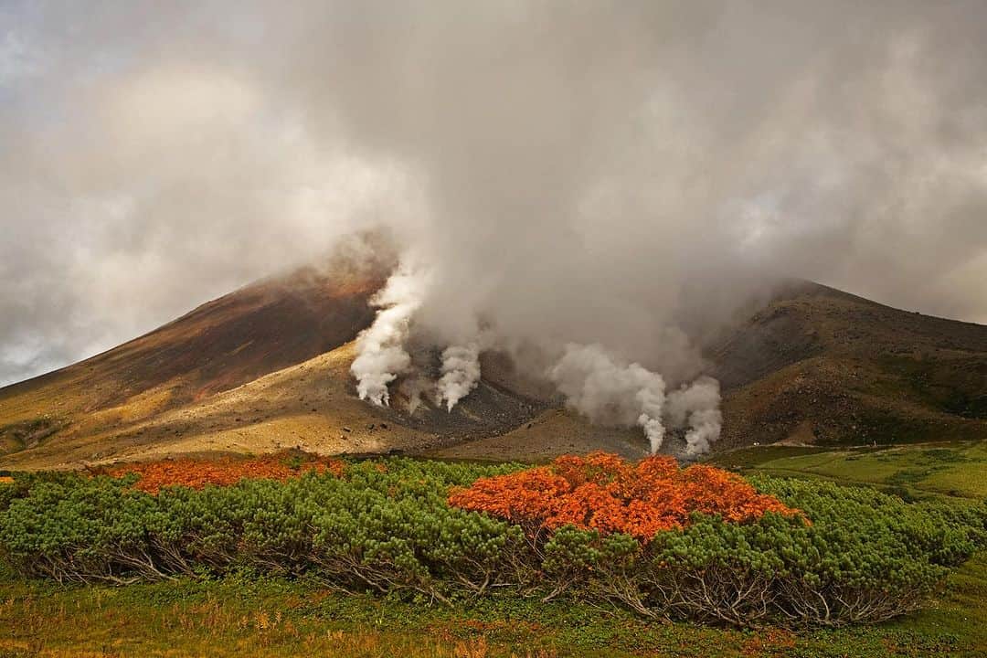 Michael Yamashitaのインスタグラム：「Fall finds its peak along the slopes of Mount Asahidake in Daisetsuzan National Park, the highest point on Japan’s northern most island of Hokkaido. It typically starts the beginning of September and slowly makes its way down to the valley floor by mid October. #DaisetsuzanNationalPark ‪#Hokkaido‬Japan #autumn #asahidake #fallcolors」