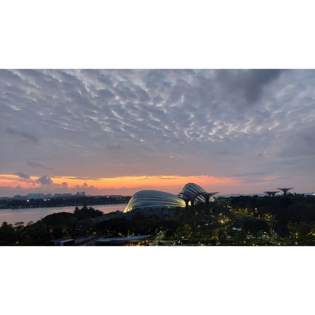 岩山立子さんのインスタグラム写真 - (岩山立子Instagram)「おはよう🌞シンガポール  #singapore」9月19日 7時35分 - jazzestme