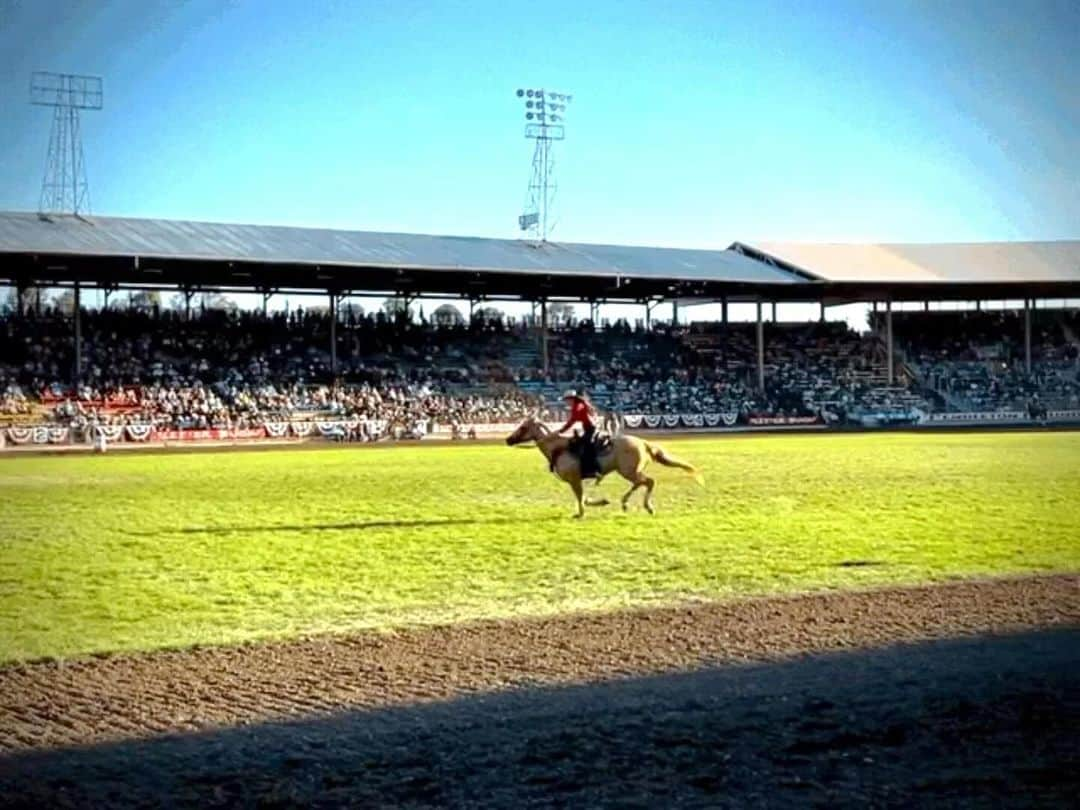 高橋ヨーコのインスタグラム：「This is Literally not my first Rodeo.」