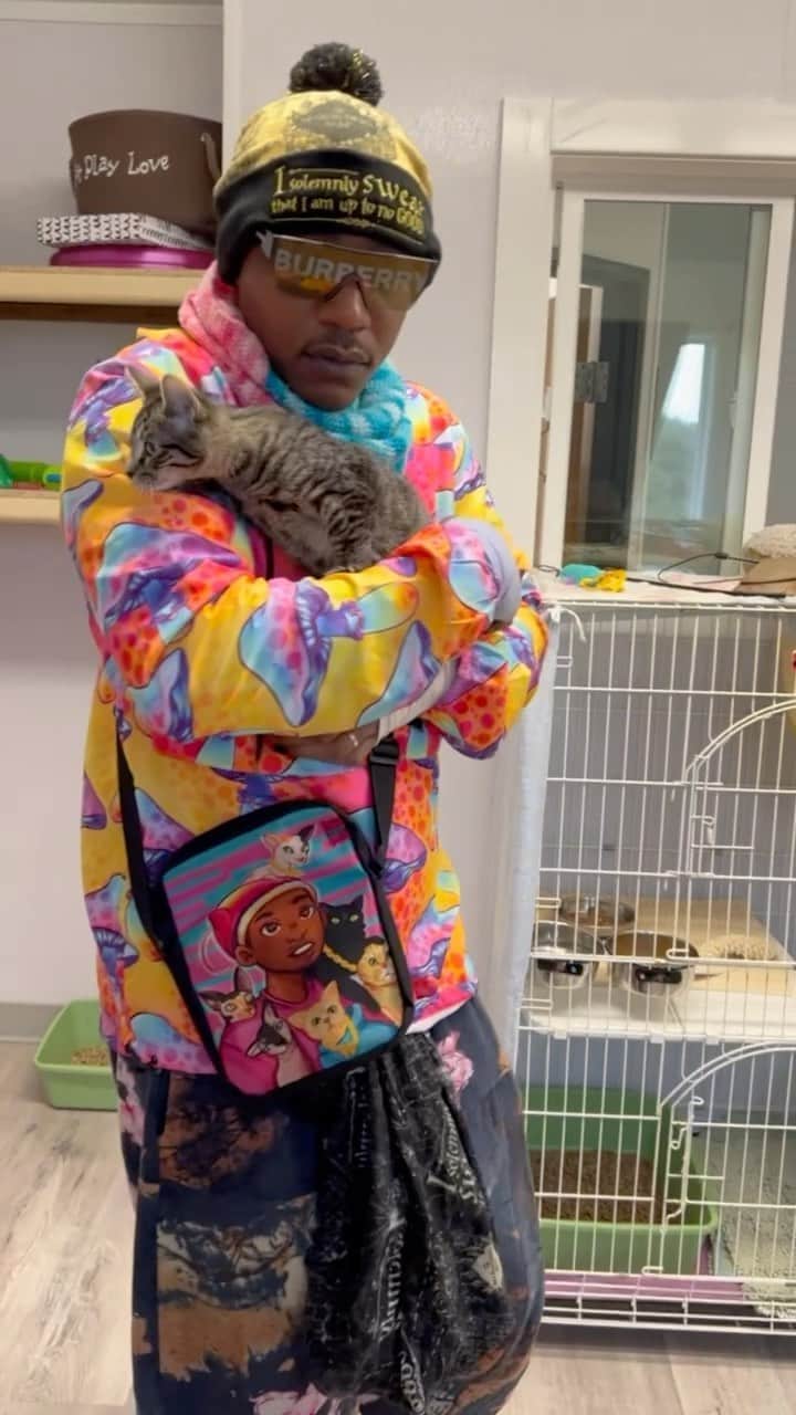 MSHO™(The Cat Rapper) のインスタグラム