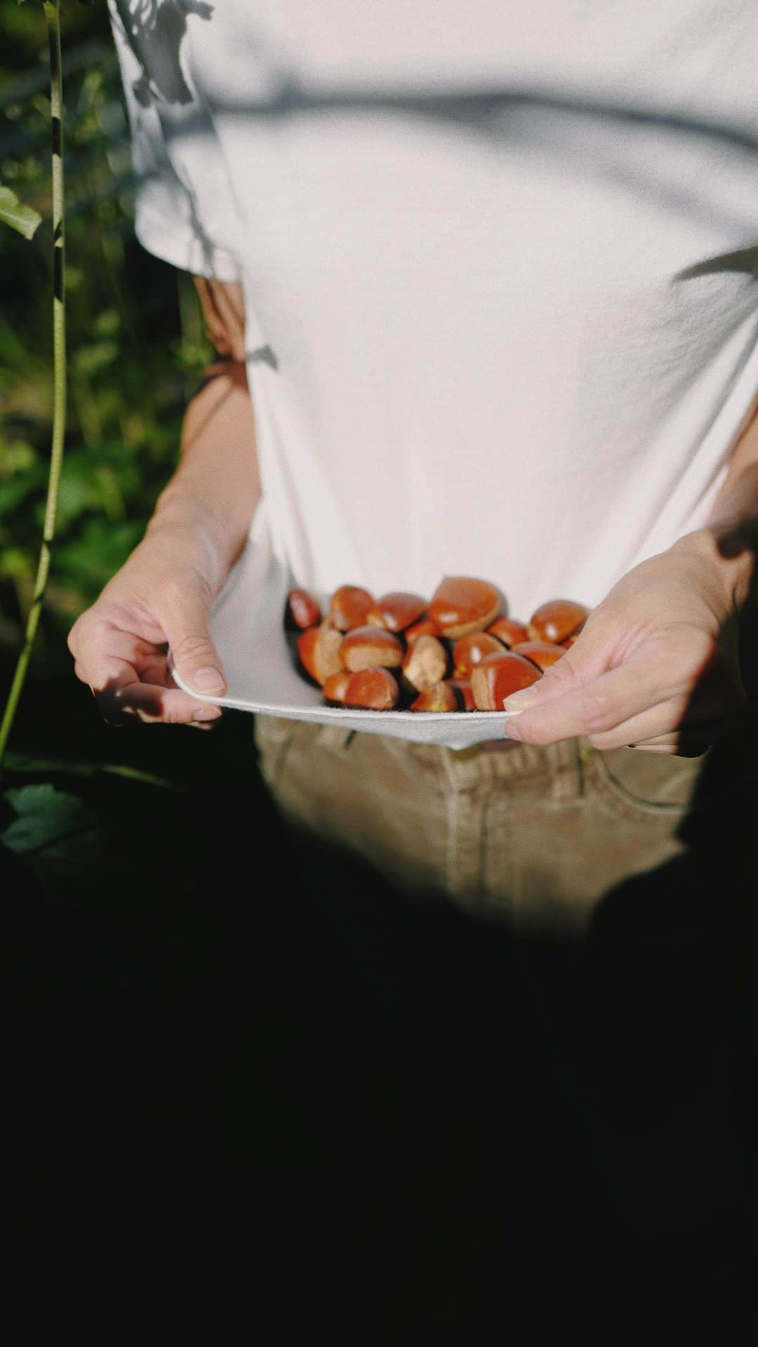 池田泉のインスタグラム：「⁡ My seasonal joys🌰 皮むきやアク抜きが面倒ではあるけれど、 手をかけた分だけの美味しさが味わえる 自家製の栗の渋皮煮。 ⁡ 栗拾い 栗を一晩水に漬ける 鬼皮を剥く 重曹をいれた鍋で10分火にかける×3 渋（筋）を取る 砂糖を入れて煮る … なんて工程が多いこと！ 1日かけてようやく出来上がった、 あぁ、滋味深くおいしい。 ⁡ ⁡ ⁡」